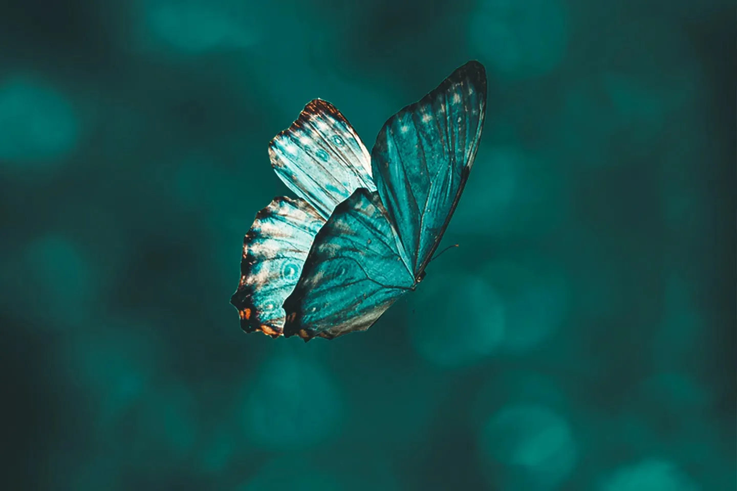The Symbolic Life