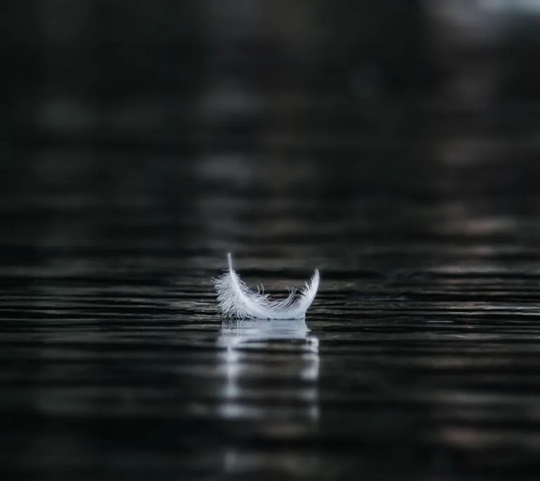 The Interpretation of Fairy Tales. feather